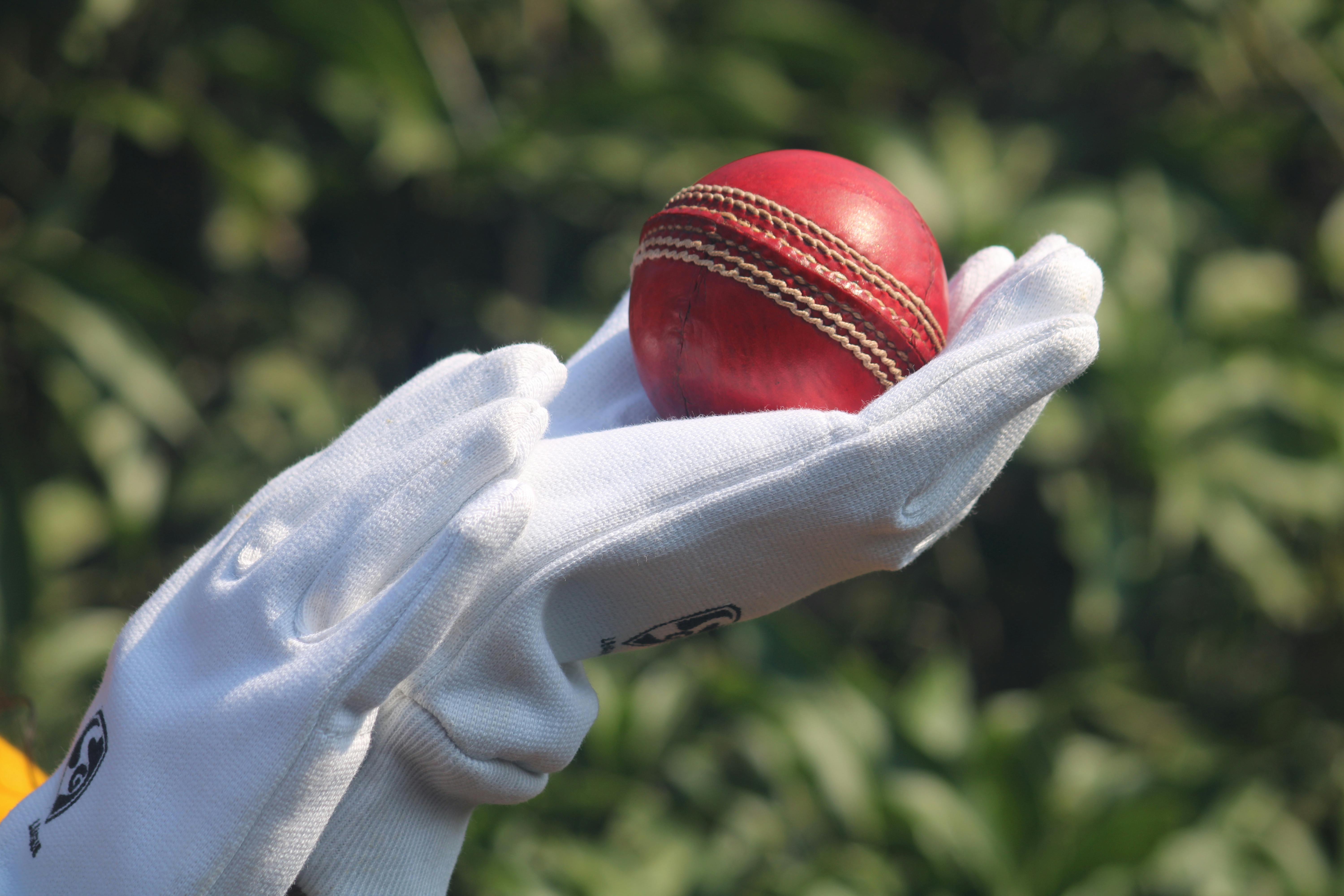 Cricket Ground